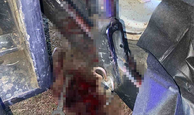 Traktörün bakımını yaparken kafası hidrolik sisteme sıkışan şahıs hayatını kaybetti