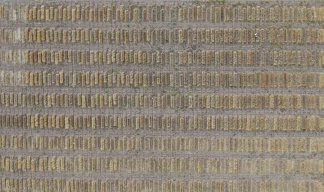 Türk bilim adamları bir ilki başardı