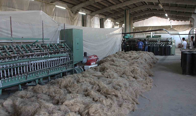 Türkiye&#039;nin ilk kenevir fabrikası 40 yıl sonra yeniden üretimde