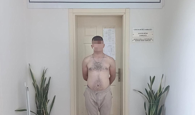 Tutuklanan hırsız polisin elinden kaçtı