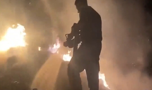 Van&#039;da 2 bin 600 bağ ot alev alev yandı