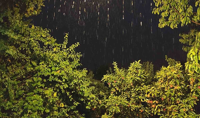 Van'ın Erciş ilçesinde şiddetli yağış etkili oldu