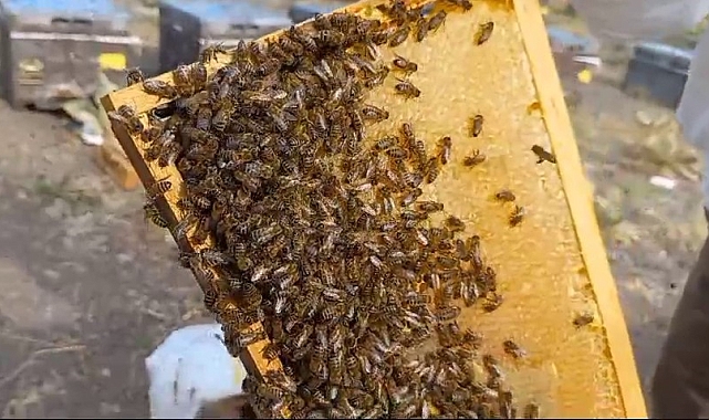 &quot;Vatandaşa bal yerine zehir satıyorlar&quot;