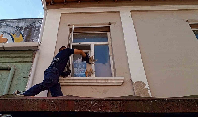 Yarı açık pencerede sıkışan kedi, itfaiye ekipleri tarafından kurtarıldı