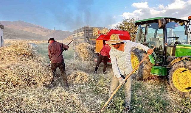 Yüksekova&#039;da çiftçiler binbir zahmetle biçtikleri otu toplayarak kış hazırlığına hız verdiler