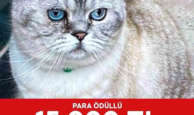 Yumuşu bulana  15 Bin TL ödül verecek