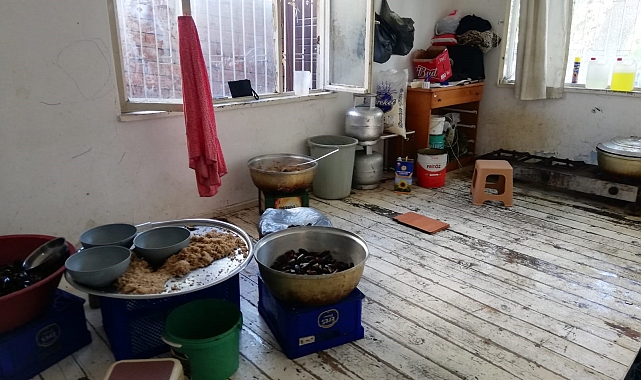 Zabıta sağlıksız midyelere el koydu