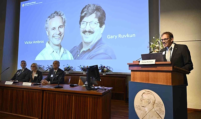 2024 Nobel Tıp Ödülü&#039;ne ABD&#039;li biyologlar Ambros ve Ruvkun layık görüldü