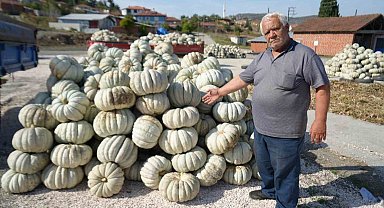 25 yıl önce deneme amaçlı ekilen kestane, şimdi 40 şehre satıyorlar