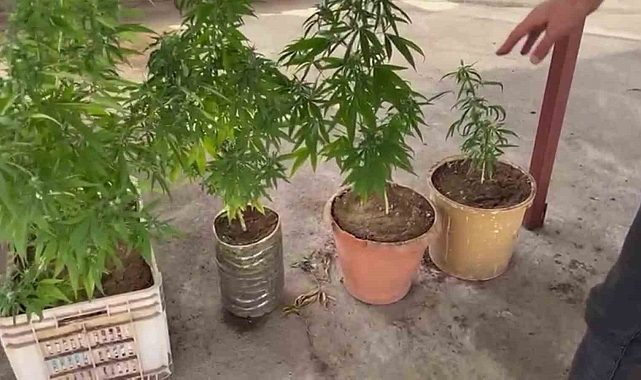 38 torbacı tutuklandı