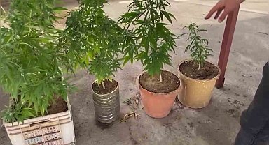 38 torbacı tutuklandı