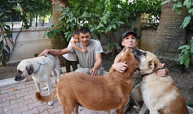 4 sokak köpeği sıcak yuvasına kavuştu