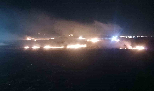 8 bin dönüm arazi çıkan yangında zarar gördü