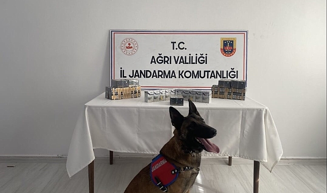 Ağrı&#039;da 530 paket gümrük kaçağı sigara ele geçirildi