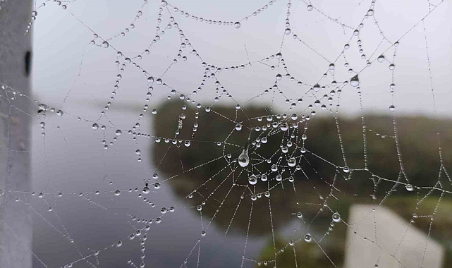 Ardahan&#039;da yoğun sis nedeniyle göz gözü görmedi