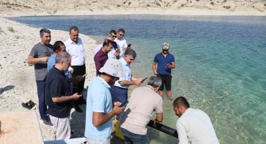 Atatürk Baraj Göleti'ne 2 buçuk milyon şabut balığı yavrusu bırakıldı