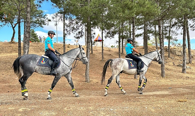 Atlı birlikler görev başında