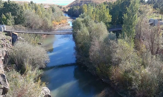 Balık bendi yavru balıkların barınma alanı oldu