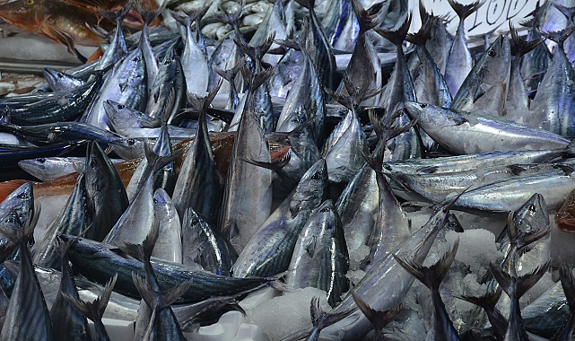 Balıkçı tezgahları şenlendi