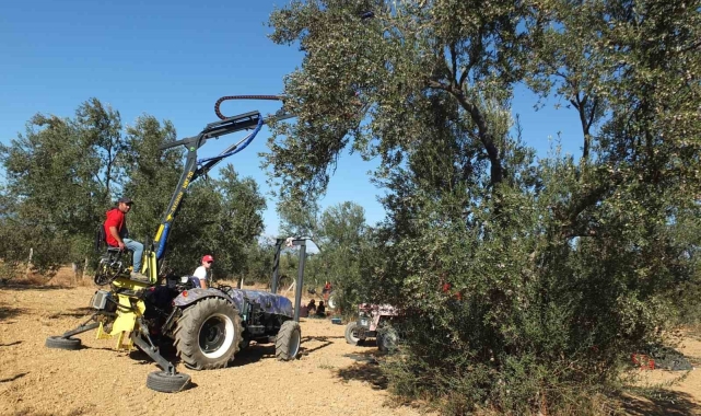 Balıkesirli kaşifin yaptığı makineler zeytin hasadını kolaylaştırdı