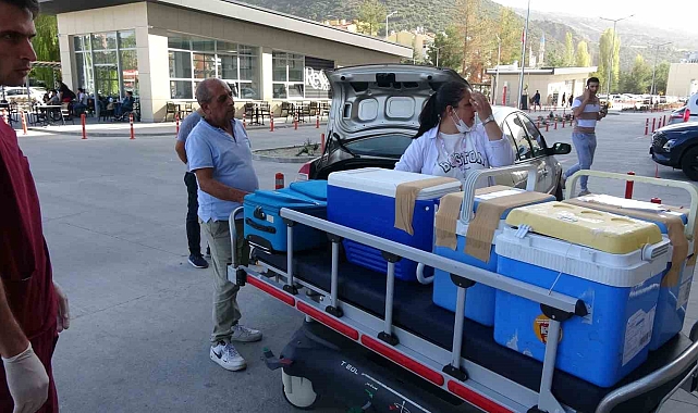 Beyin ölümü gerçekleşen gencin organları 4 hastaya umut oldu