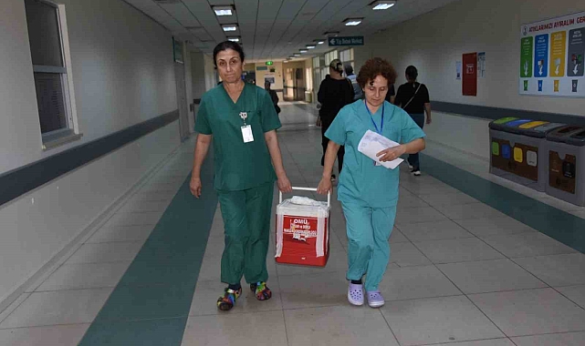 Beyin ölümü gerçekleşen sağlık çalışanının organları 4 kişiye umut oldu