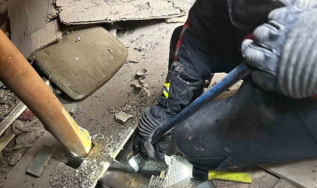 Bir binanın çatısında mahsur kalan kediyi, itfaiye ekipleri kurtardı