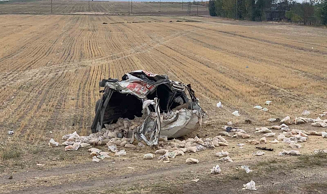 Bitlis&#039;in Adilcevaz ilçesinde lastiği patlayan minibüs şarampole devrildi