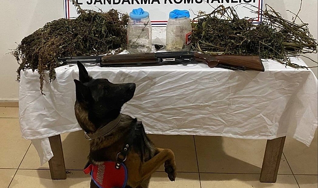 Bitlis&#039;in Tatvan ilçesinde 3 kilo 960 gram kubar esrar ele geçirildi