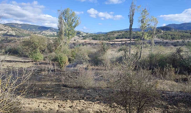 Bolu&#039;da ormana yakın bir alanda çıkan ot yangını, söndürüldü