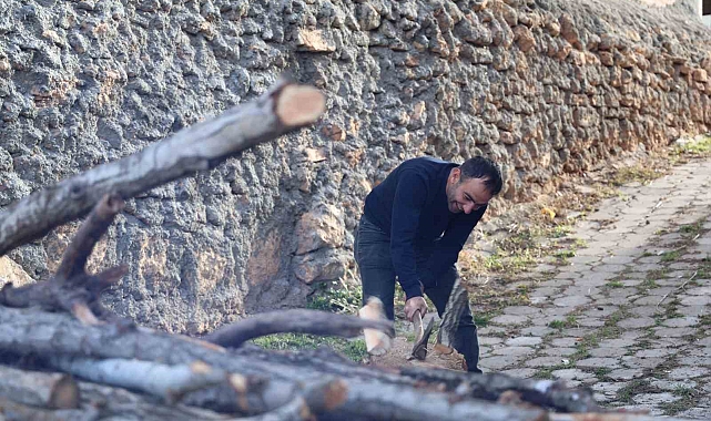 Budama fiyatları köylüleri odunsuz bıraktı