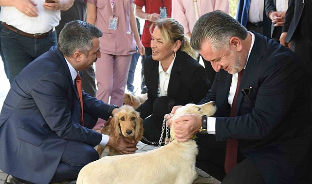 Can dostları emin ellerde