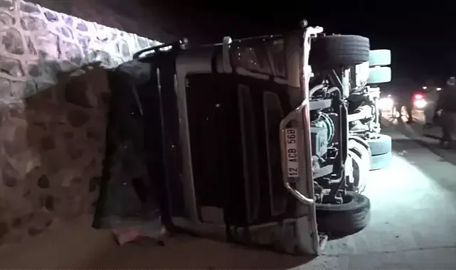 Canlı hayvan aracı devrildi