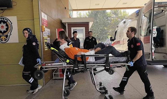 Ceviz ağacından düşen amca ve yeğeni yaralandı