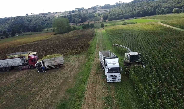 Çiftçilerin yüzü gülüyor