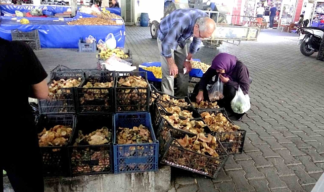 Çıntarlar Pazar Tezgahlarında Yerini Aldı