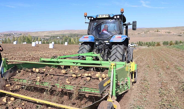 En lezzetli patatesler bu topraklarda yetişiyor