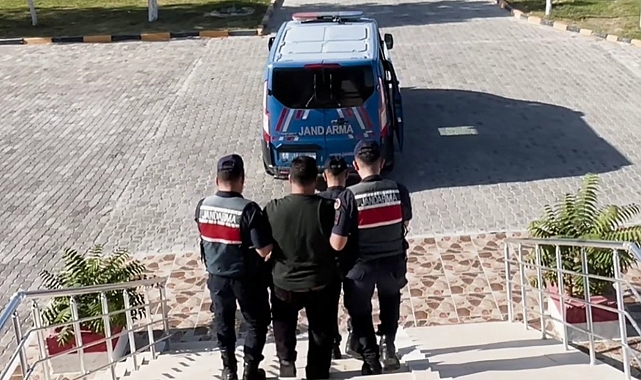 Evinin bahçesinde kenevir yetiştirip uyuşturucu ticareti yapan şahıs tutuklandı