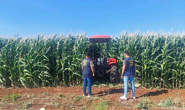 Faili meçhul hırsızlık şüphelisi 73 şahıs yakalandı
