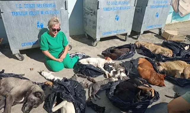 Gebze Belediye bakım merkezinde onlarca kedi ve köpek katledildi