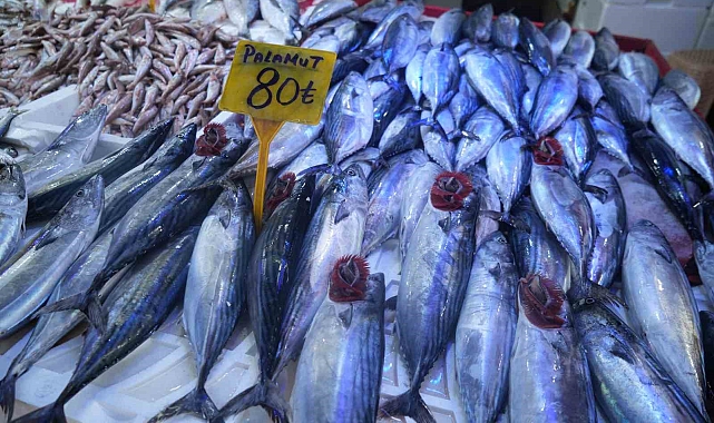 Geçen hafta tanesi 150 TL&#039;den satılan kiloluk palamudun tanesi 80 TL&#039;ye düştü