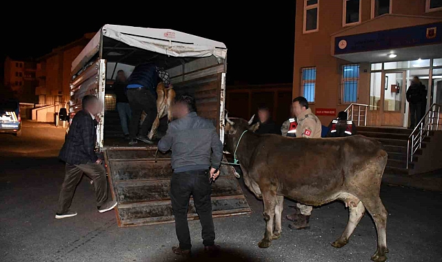 Hayvan hırsızları Sarıkamış&#039;ta yakalandı