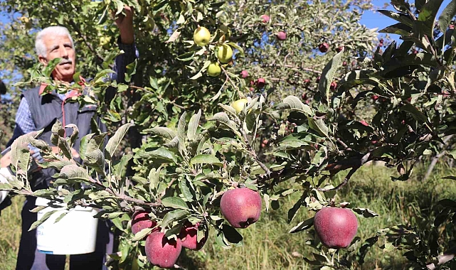 Hobisini ticarete dönüştürdü