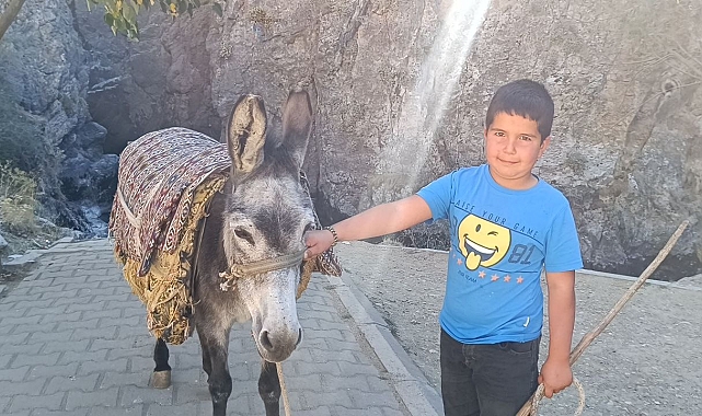 Homurlu Şelalesi&#039;ne gelen misafirleri eşekle gezdirerek okul harçlığını çıkartıyor