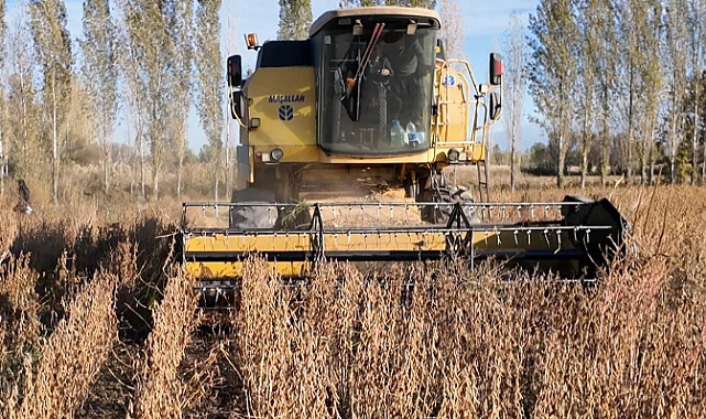 Iğdır’a bağlı Akyumak köyünde soya hasadı yapıldı