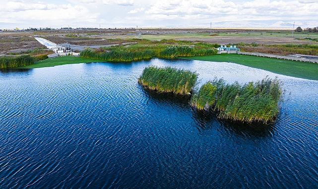 Iğdır’da Ağrı Dağı eteklerindeki sulak alanlar turizme kazandırılıyor