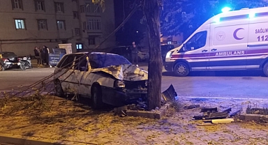 Iğdır'da trafik kazası; otomobil ağaca çarptı 1 yaralı!