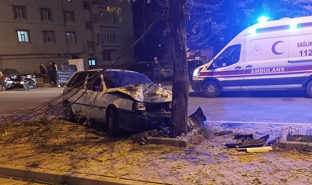 Iğdır&#039;da trafik kazası; otomobil ağaca çarptı 1 yaralı!