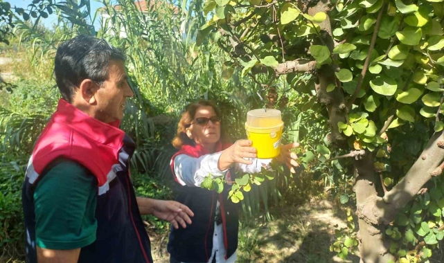 İl Tarım&#039;dan üreticilere &#039;ilaçlama&#039; çağrısı