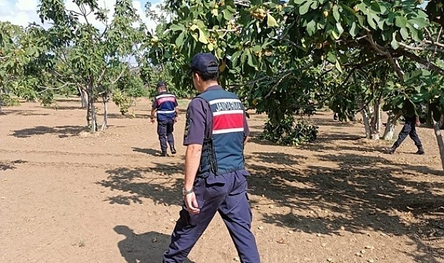 İncir çaldığı tespit edilen 3 şüpheli, suçüstü yakalandı